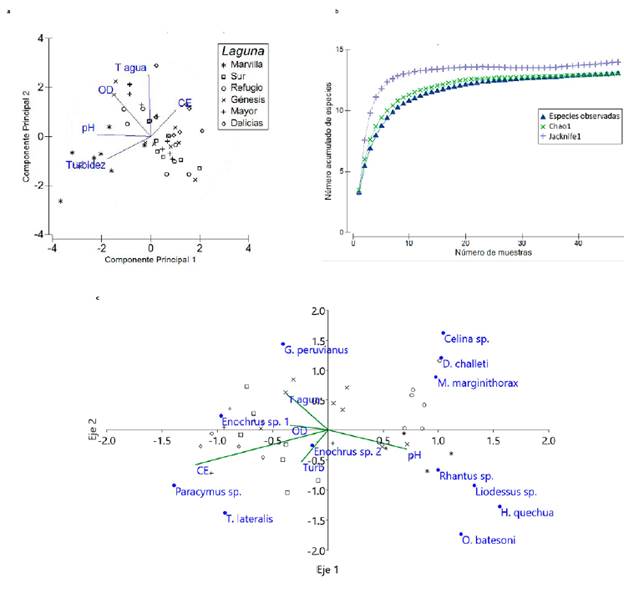 a. An�lisis de componentes principales (ACP) de lagunas y variables fisicoqu�micas, b. Curva de acumulaci�n de especies de cole�pteros acu�ticos, y c. An�lisis de Correspondencia Can�nica (ACC) de los cole�pteros acu�ticos y las variables fisicoqu�micas en el Refugio de Vida Silvestre Los Pantanos de Villa (Lima, Per�) de julio 2017 a febrero 2018.
