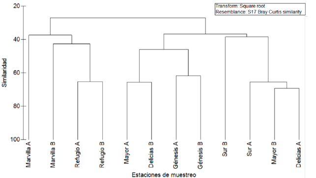 An�lisis de agrupamiento jer�rquico (Cluster) en el Refugio de Vida Silvestre Los Pantanos de Villa (Lima, Per�) basado en la composici�n de cole�pteros acu�ticos. Julio 2017 - febrero 2018.