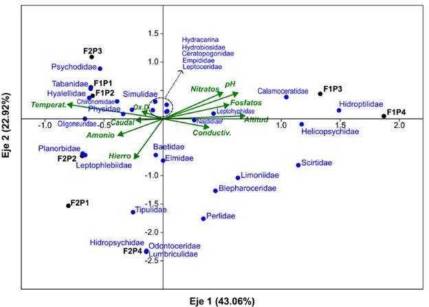 Anlisis de correspondencia cannica (ACC) para explorar las relaciones entre las variables ambientales y las familias de macroinvertebrados en el ro nimas. F1 poca seca, F2 poca de lluvia, P1, P2, P3 y P4 sitios de muestreo