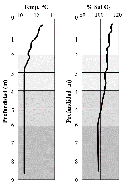 Perfiles verticales de temperatura y ox�geno disuelto en el lago Cristalina.