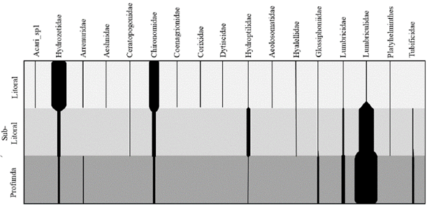 Distribuci�n y Abundancia de macroinvertebrados a grandes grupos por zonas en el lago.