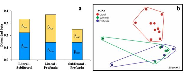 α- contribuci�n de los componentes de recambio, βsim, y de anidamiento, βsne, a la diversidad total, βsor, de macroinvertebrados en el lago Cristalina. b- Diagrama del an�lisis nMDS de los macroinverterbrados.