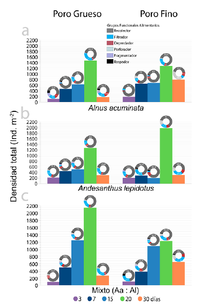 Densidad absoluta y por grupo funcional alimentario-GFA de los macroinvertebrados colonizadores de hojas de (a) A. acuminata (Aa), (b) A. lepidotus (Al) y (c) una combinacin de ambas especies durante el experimento con bolsas de malla de diferente poro (grueso: 5 mm, fino: 0,5 mm) en la Quebrada Las Perlas (Ibagu, Colombia). En las figuras de donas, se indican los valores de densidad con los porcentajes ms representativos. Note las diferencias en la densidad y en la heterogeneidad de la distribucin de los GFA por tratamiento durante el estudio.