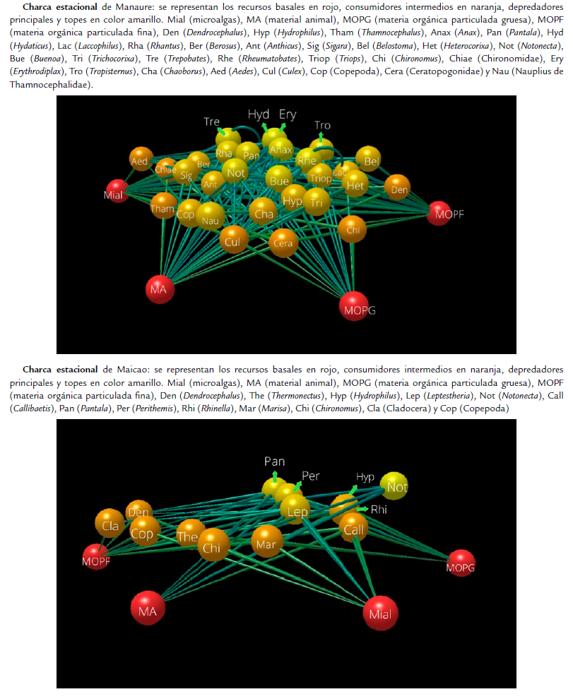 Modelos est�ticos de redes tr�ficas