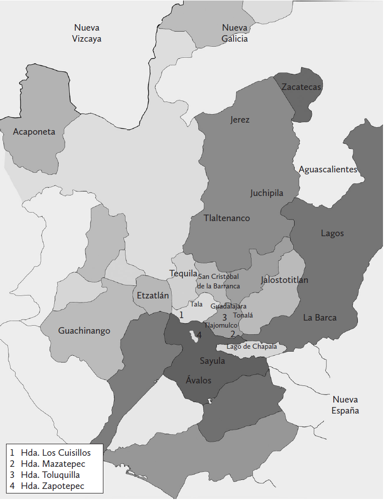Nueva Galicia y la zona triguera aqu&iacute; estudiada