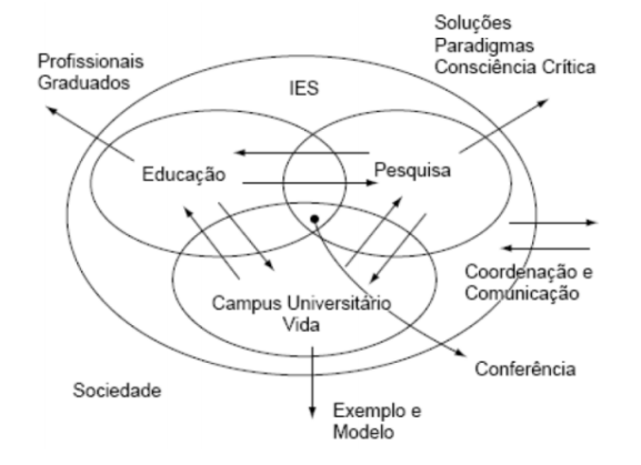 Figura
2 - O papel da
universidade na sociedade, relativo ao desenvolvimento sustentável