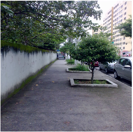  Tamanho inadequado de canteiro
