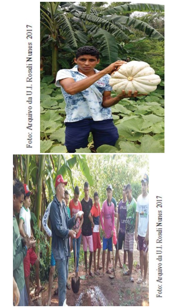Práticas agroescológicas