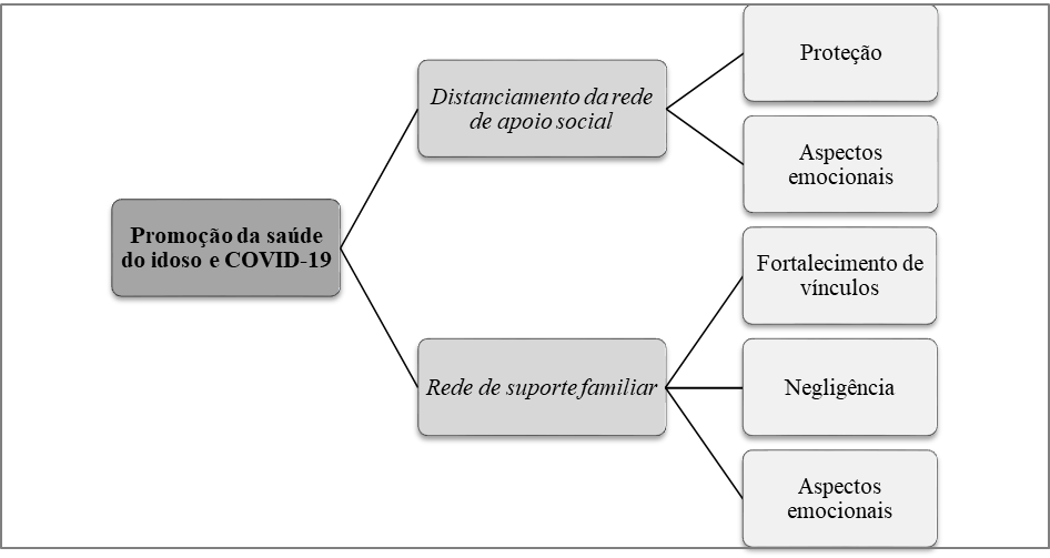 Percepo dos trabalhadores de sade sobre a influncia da COVID-19 na promoo da sade direcionada para os idosos
