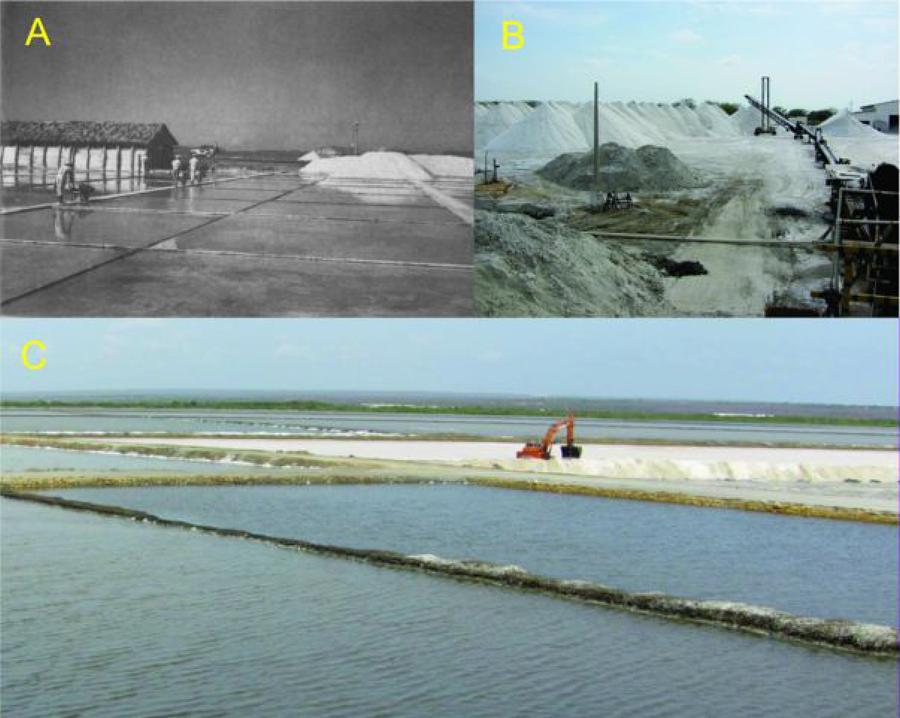 Mosaico de imagens de salinas.