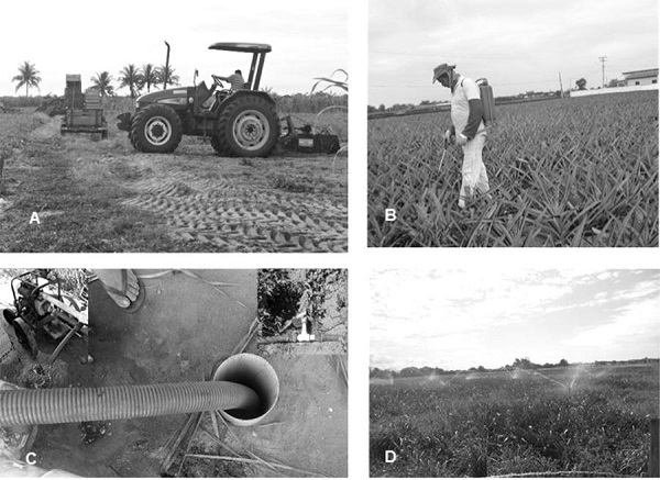 Técnicas e instrumentos modernos utilizados na agricultura familiar no município de São João da Barra, norte do estado do Rio de Janeiro. A - Utilização de trator para preparação do solo; B - Aplicação de fertilizantes; C - Poço artesiano, bomba elétrica e magueira pressurizada; D - Aspersão convencional.