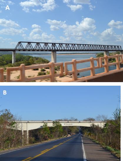 A) Ponte Férrea sobre o rio Tocantins, no município de Porto Franco (MA),
divisa do Maranhão com Tocantins. B) Viaduto da Ferrovia Norte-Sul
sobre a rodovia Federal BR-153 próximo a Jaraguá (GO).