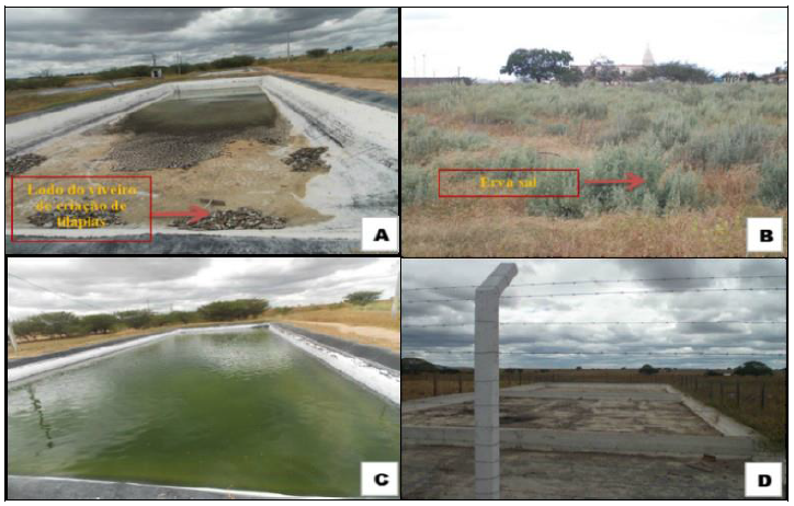 -A) Viveiro de peixes após despesca sendo retirado o lodo; 6-B) Cultivo de erva sal; 6-C) Viveiro de peixes sendo abastecido; 6-D) Tanques de evaporação do rejeito.