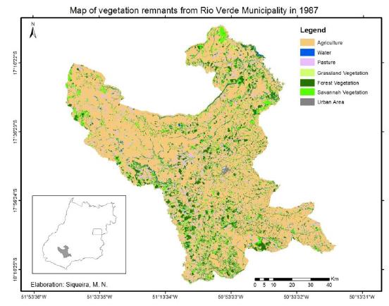 Map of remnants of vegetation and anthropic soil use in the municipality of Rio Verde, in the year 1987.