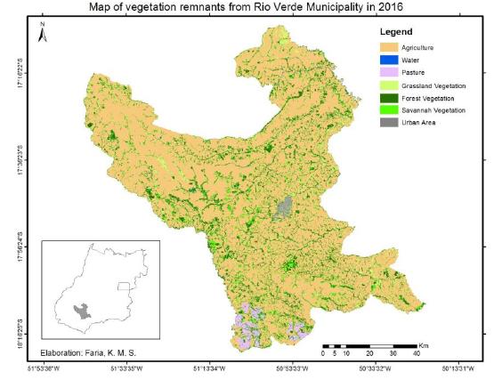 Map of remnants of vegetation and anthropic soil use in the municipality of Rio Verde, in the year 2016.