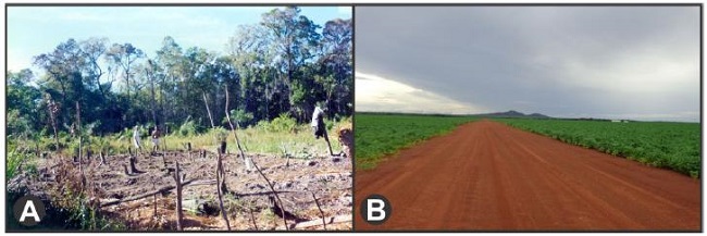 and 1B - Slash-and-burn crops used in the quilombola community, in 2001 (A); Soil farming with the bottom of the hill that gave rise to the denomination of the community, in 2018.