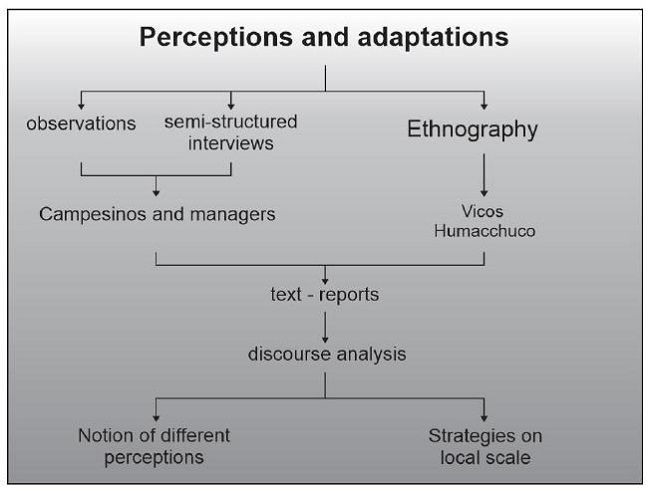 Systematization of the methodological procedures used to study perceptions and adaptations.