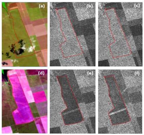 RGB color composites of bands 6, 5 and 4 of the Landsat-8 satellite from October 2, 2016, and October 21, 2017,(before and after deforestation) in (a) and (d) and the corresponding images from the Sentinel-1A satellite obtained on October 3, 2016, and November 10, 2017, on VV polarization in (b) and (e) and VH polarization in (c) and (f).