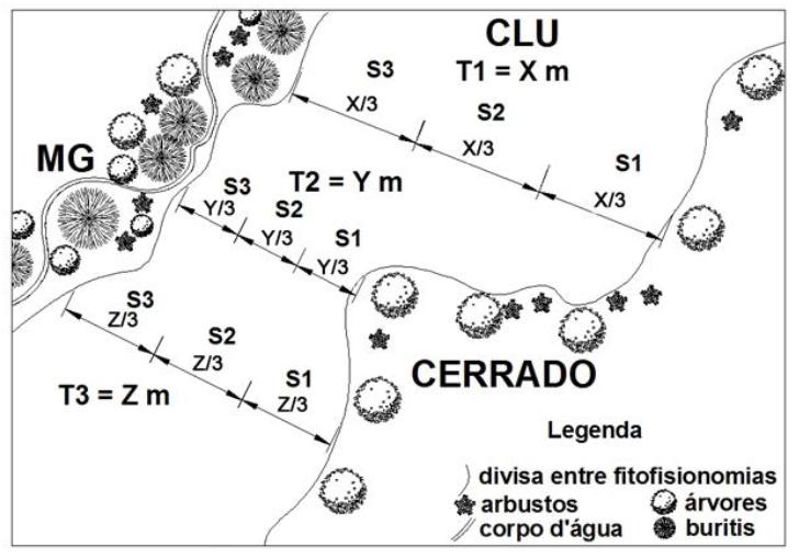 Esquema do levantamento da produtividade de capim dourado em campo nos vinte Campos Limpos Úmidos associados às Veredas no Parque Estadual do Jalapão. T = transeções; S = segmentos