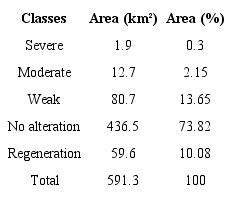 Quantification of the burned and vegetated areas of the study area.