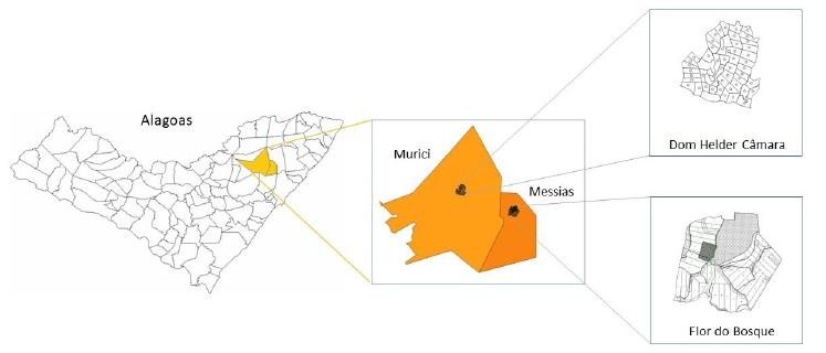 Location of the Flor do Bosque and Dom Helder Câmara settlements in the municipalities of Messias and Murici, respectively.