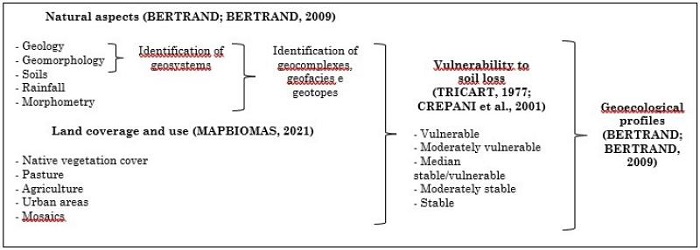 Schematic aspects of the methodological procedure.
