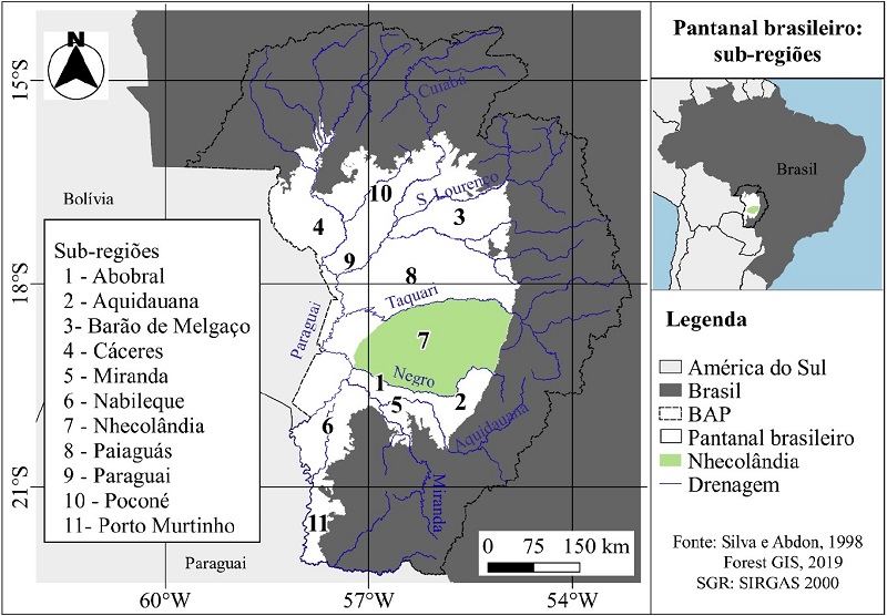 Regi&atilde;o da Nhecol&acirc;ndia no Pantanal brasileiro.