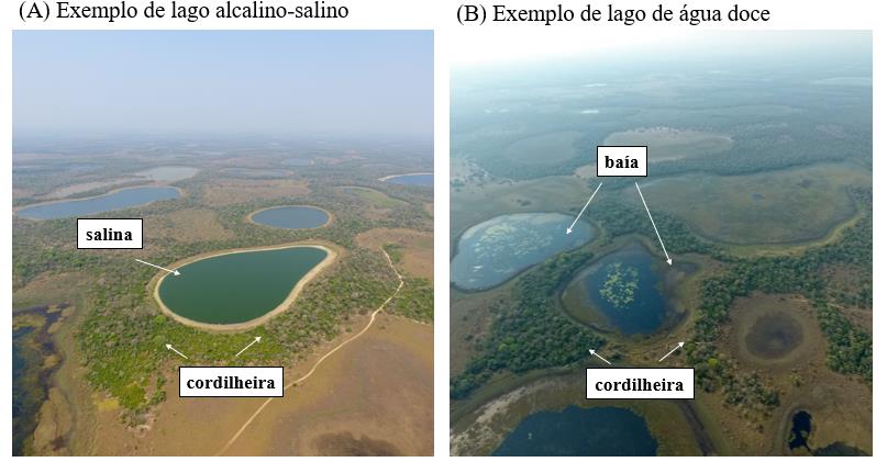 Imagens a&eacute;reas de paisagens do Pantanal da Nhecol&acirc;ndia.