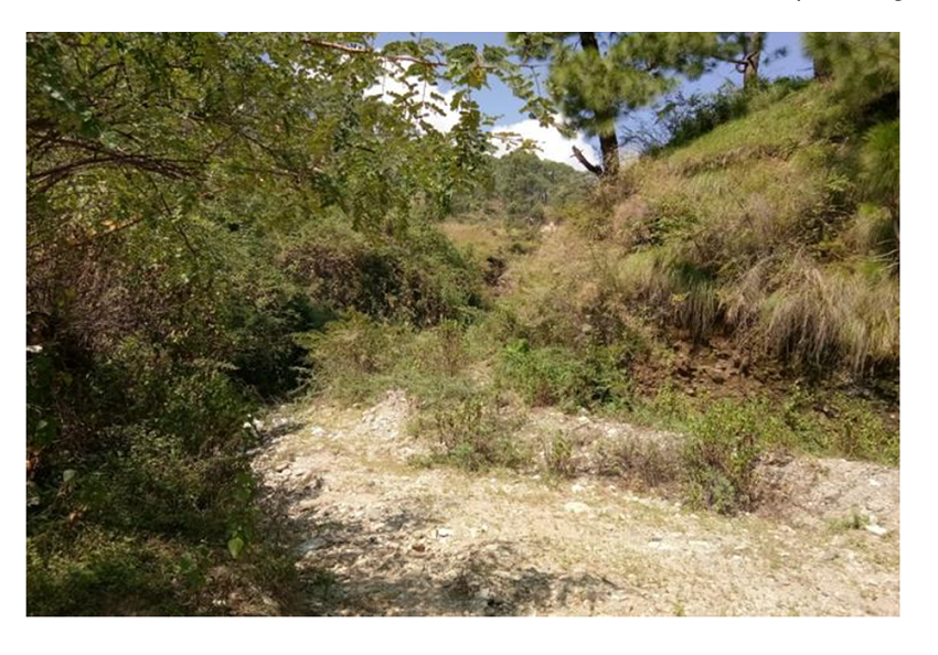 Eroded debris flow due to topsoil loosening on upper slopes aided by flowing ice - Dewal, Chamoli district Uttarakhand India