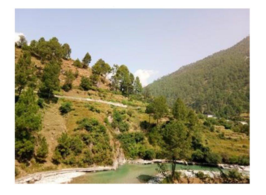 Control of slope failure by supplemental vegetation can prevent landslides Wan (Chamoli District). Uttarakhand- India