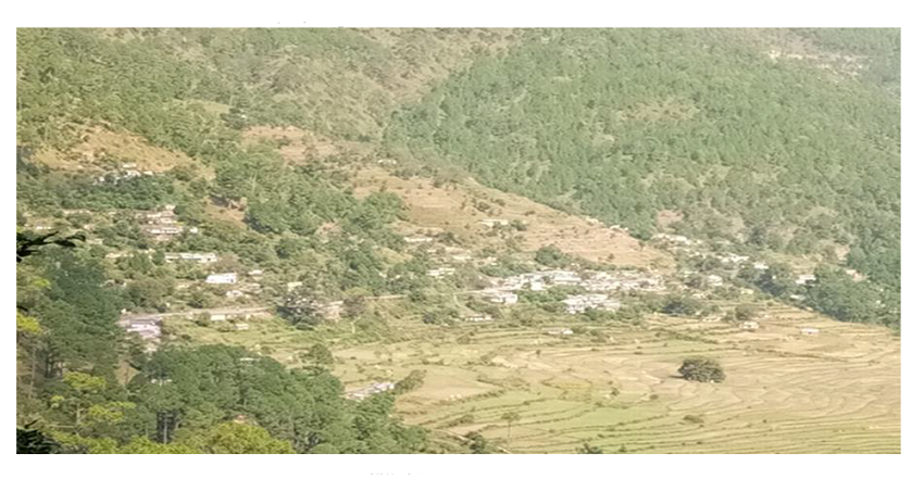 Cleared slopes for cultivation when left fallow accelerates topsoil erosion aided by rainfall and gravity. Village of Dewal Chamoli district Uttarakhand