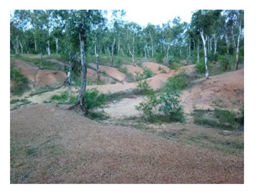Gully erosion in tropical laterite due to rainfall initiates break (Sriniketan Birbhum India)