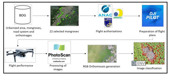 Summary of the methodological procedures developed