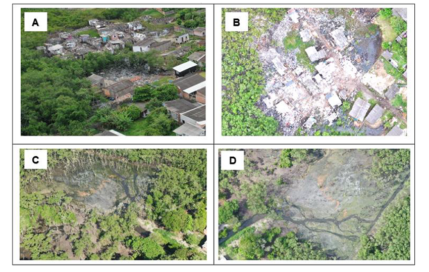 Precarious occupation with solid waste within Mangrove 4, observed on oblique photograph (A) and on orthomosaic at canvas scale 1:500 (B). Untreated effluent discharge with shackle within Mangrove 20, observed on oblique photograph (C) and on orthomosaic at canvas scale 1:500 (D).