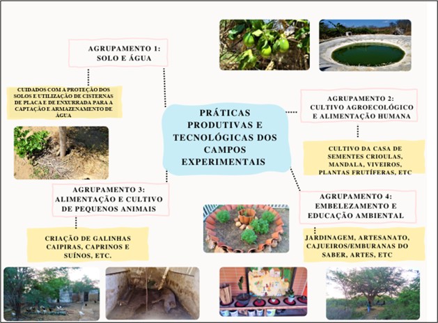 Agrupamento das pr�ticas produtivas e tecnologias dos campos experimentais no campo experimental Dom Fragoso - Escola Florestan Fernandes, Assentamento Santana, CE, 2022