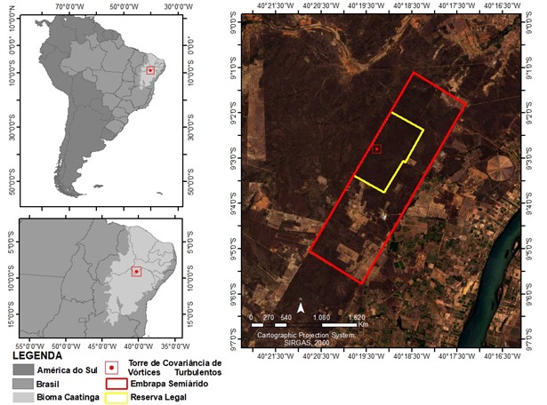 Floresta Tropical Sazonalmente Seca - Caatinga, Oeste do Estado de Pernambuco, Petrolina, Brasil.