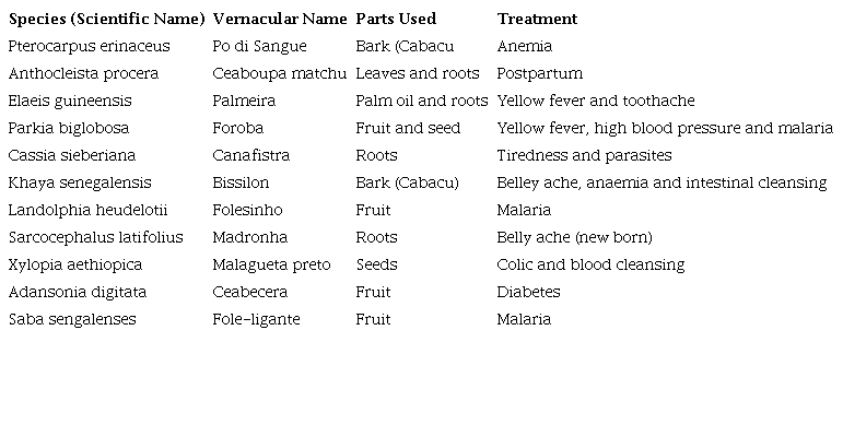 The main medicinal plants in CNP