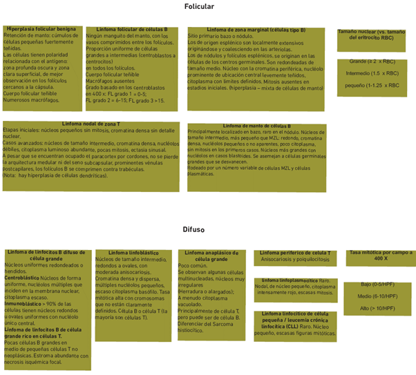 Esquema de diagn&oacute;stico de los linfomas m&aacute;s comunes en caninos. Fuente: modificado de Jubb, Kennedy, and Palmers. 2016 11. 