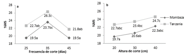 Contenido de materia seca (%MS) de los cultivares del pasto Guinea (Megathyrsus maximus (Jaqc.)), Tanzania y Mombasa, sometidos a diferentes frecuencias y alturas de corte. Efectos: cultivar-C (p<0,001); frecuencia de corte-F (p<0,001); altura de corte-A (p=0,034); CxF (p=0,873); CxA (p=0,923); FxA (p=0,844) y CxFxA (p=0,594). Contrastes: [Frecuencia de corte: Lineal (p=0,604); Cuadr&aacute;tico (p<0,001)]; [Altura de corte: Lineal (p=0,011); Cuadr&aacute;tico (p=0,648)]. Medias seguidas de letras diferentes difieren seg&uacute;n la prueba de Tukey (α=0,05).