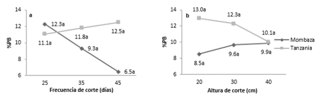 Contenido de prote&iacute;na bruta (%PB) de los cultivares del pasto Guinea (Megathyrsus maximus (Jaqc.)), Tanzania y Mombasa, sometidos a diferentes frecuencias y alturas de corte. Efectos: cultivar-C (p<0,01); frecuencia de corte-F (p<0,01); altura de corte-A (p<0,01); CxF (p<0,01); CxA (p<0,01); FxA (p<0,01) y CxFxA (p<0,01). Contrastes: [Frecuencia de corte: Lineal (p<0,01); Cuadr&aacute;tico (p<0,01)]; [Altura de corte: Lineal (p<0,01); Cuadr&aacute;tico (p<0,01)]. Medias seguidas de letras diferentes difieren seg&uacute;n la prueba de Tukey (α=0,05). Error est&aacute;ndar de la media: 0,387.