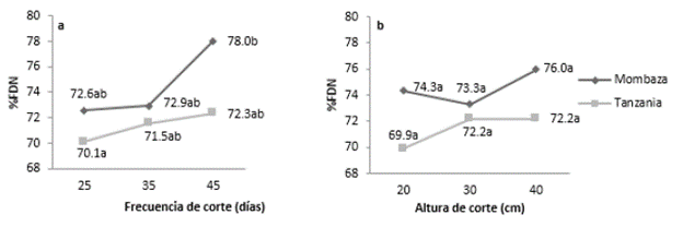 Contenido de fibra insoluble en detergente neutro (%FDN) de los cultivares del pasto Guinea (Megathyrsus maximus (Jaqc.)), Tanzania y Mombasa, sometidos a diferentes frecuencias y alturas de corte. Efectos: cultivar-C (p=0,023); frecuencia de corte-F (p=0,061); altura de corte-A (p=0,528); CxF (p=0,402); CxA (p=0,541); FxA (p=0,426) y CxFxA (p=0,098). Contrastes: [Frecuencia de corte: Lineal (p=0,024); Cuadr&aacute;tico (p=0,474)]; [Altura de corte: Lineal (p=0,269); Cuadr&aacute;tico (p=0,842)]. Medias seguidas de letras diferentes difieren seg&uacute;n la prueba de Tukey (α=0,05). Error est&aacute;ndar de la media: 0,666.