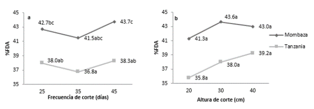 Contenido de fibra insoluble en detergente &aacute;cido (%FDA) de los cultivares del pasto Guinea (Megathyrsus maximus (Jaqc.)), Tanzania y Mombasa, sometidos a diferentes frecuencias y alturas de corte. Efectos: cultivar-C (p<0,01); frecuencia de corte-F (p=0,301); altura de corte-A (p=0,080); CxF (p=0,942); CxA (p=0,691); FxA (p=0,295) y CxFxA (p=0,489). Contrastes: [Frecuencia de corte: Lineal (p=0,576); Cuadr&aacute;tico (p=0,861)]; [Altura de corte: Lineal (p=0,040); Cuadr&aacute;tico (p=0,350)]. Medias seguidas de letras diferentes difieren seg&uacute;n la prueba de Tukey (α=0,05). Error est&aacute;ndar de la media: 0,497.