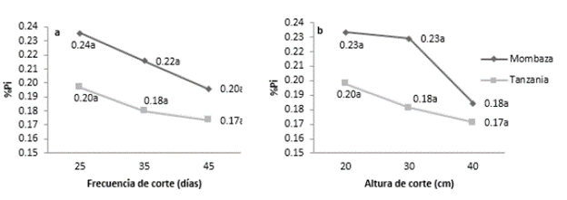 Contenido de f&oacute;sforo inorg&aacute;nico (%Pi) de los cultivares del pasto Guinea (Megathyrsus maximus (Jaqc.)), Tanzania y Mombasa, sometidos a diferentes frecuencias y alturas de corte. Efectos: cultivar-C (p=0,057); frecuencia de corte-F (p=0,296); altura de corte-A (p=0,165); CxF (p=0,908); CxA (p=0,686); FxA (p=0,936) y CxFxA (p=0,912). Contrastes: [Frecuencia de corte: Lineal (p=0,123); Cuadr&aacute;tico (p=0,886)]; [Altura de corte: Lineal (p=0,067); Cuadr&aacute;tico (p=0,634)]. Medias seguidas de letras diferentes difieren seg&uacute;n la prueba de Tukey (α=0,05). Error est&aacute;ndar de la media: 0,008.