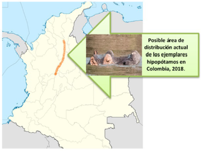 Posible distribuci&oacute;n actual de los hipop&oacute;tamos en Antioquia y el r&iacute;o Magdalena, Colombia. Fotograf&iacute;a: Luis Felipe Agudelo Giraldo, Cocorn&aacute; Antioquia, 2018.