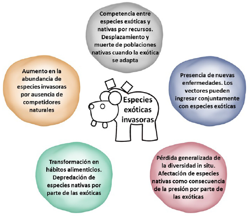Efectos en especies nativas causados por la inclusi&oacute;n de especies ex&oacute;ticas 8-11.