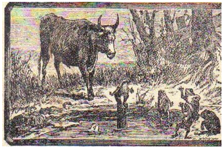 Ilustração da Cartilha do Sínodo de Missouri O sapo e o boi.