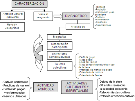 Esquema de la metodología desarrollada para la investigación, ajustándose a los procesos propios de los sálibas en el departamento del Casanare.