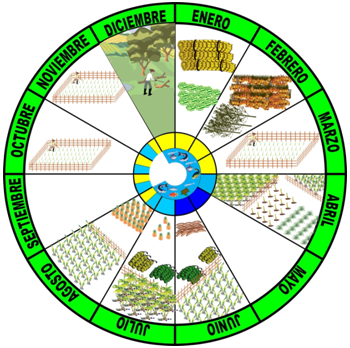 Calendario sáliba de abundancias, manejos, aprovechamientos de especies y recursos naturales, períodos de siembra, cosecha y mantenimiento de cultivos. Está determinado por los meses del año como parte de un calendario, pero tiene definido mes a mes las diferentes oportunidades de aprovechar un recurso para su proceso de alimentación; también del manejo según los tiempos de los cultivos, los suelos, las aguas y las diferentes ofertas ambientales de animales y peces.