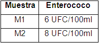 Resultados de Identificación de Enterococcus