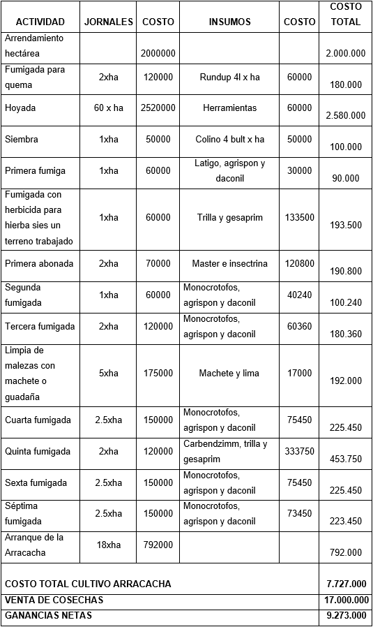 Costos y ganancias del cultivo de arracacha